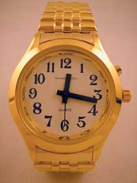 Quantum Fashion Talking/Analogue Watch - Women
